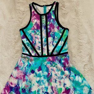 Parker Graphic Watercolor Print Scuba Dress